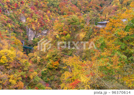 (宮城県)紅葉最盛期の鳴子峡・大深沢橋からJR線を見下ろす (宮城県)紅葉最盛期の鳴子峡・大深沢橋からJR線を見下ろす 96370614