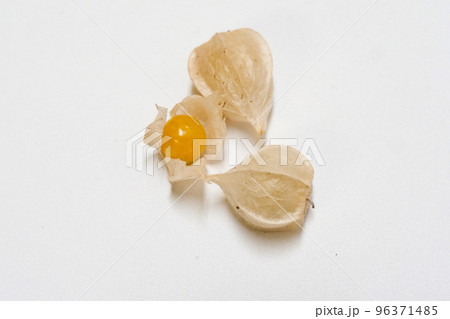 写真 物撮り 美味しくて栄養価の高い食用ホウズキ 写真 物撮り 美味しくて栄養価の高い食用ホウズキ 96371485