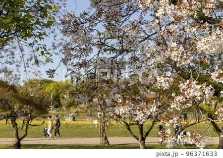 花に彩られた公園を散策する人々の春風景 96371633