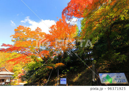 延命寺の紅葉 96371925