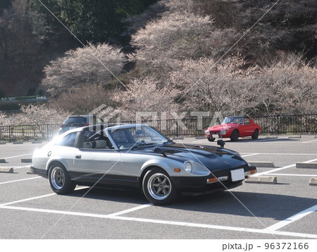四季桜をバックに有名な旧車が停まっている 四季桜をバックに有名な旧車が停まっている 96372166