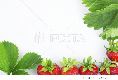Strawberries with leaves on a white background. Frame of strawberries. Copy space 96373311
