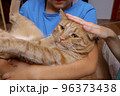 Boy at home holding his lovely, kid hugging pet 96373438
