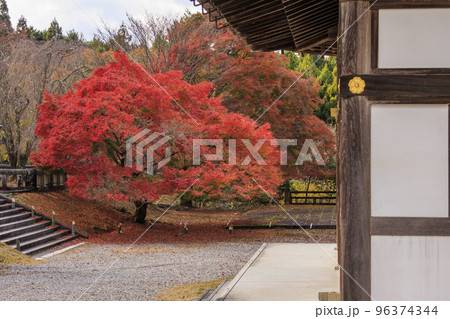 紅葉見頃な吉野神宮 96374344