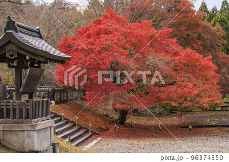 紅葉見頃な吉野神宮 96374350