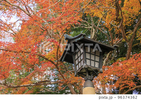 紅葉見頃な吉野神宮 96374362