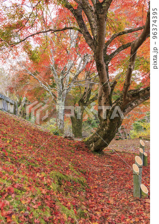 紅葉見頃な吉野神宮 96374395