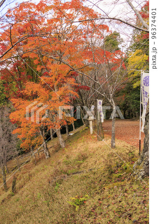 紅葉見頃な吉野神宮 96374401