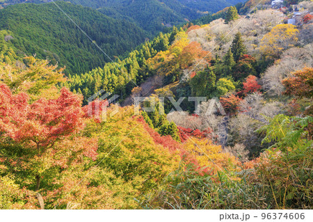 紅葉見頃な世界遺産吉野山 96374606