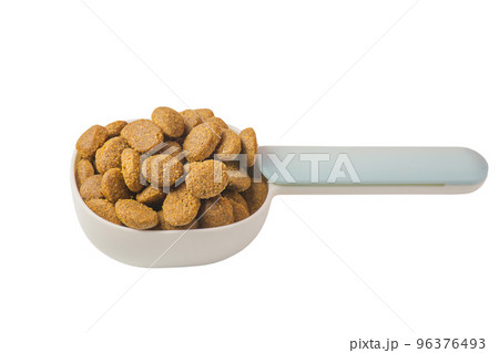 Spoon with dry feed for animals, pets. Cat or dog food balanced nutrition isolate on white. 96376493