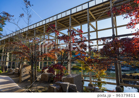 けいはんな記念公園「水景園」長く伸びた観月橋の手前を彩る紅葉 96379811
