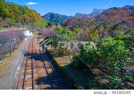 神戸駅陸橋からの眺め　わたらせ渓谷鉄道　秋の風景　 96380290