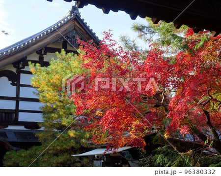 京都の紅葉をめぐる 南禅寺編 京都の紅葉をめぐる 南禅寺編 96380332