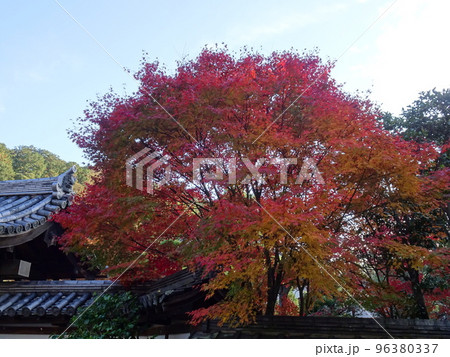 京都の紅葉をめぐる 南禅寺編 京都の紅葉をめぐる 南禅寺編 96380337