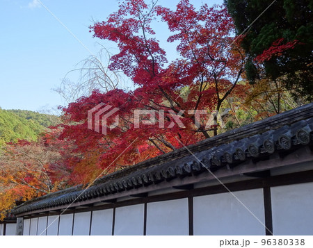 京都の紅葉をめぐる 南禅寺編 京都の紅葉をめぐる 南禅寺編 96380338