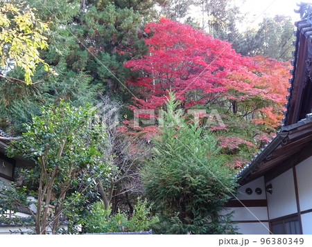 京都の紅葉をめぐる 南禅寺編 京都の紅葉をめぐる 南禅寺編 96380349