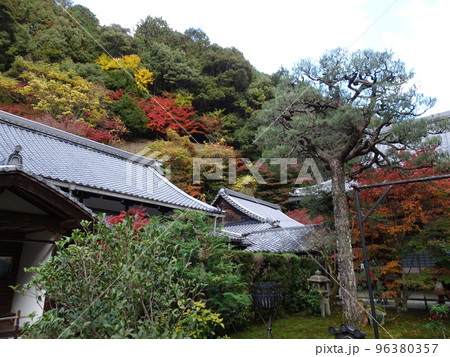 京都の紅葉をめぐる　南禅寺編 96380357
