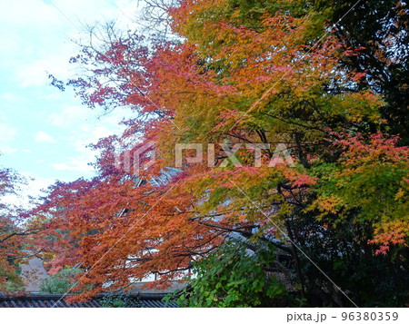 京都の紅葉をめぐる 南禅寺編 京都の紅葉をめぐる 南禅寺編 96380359