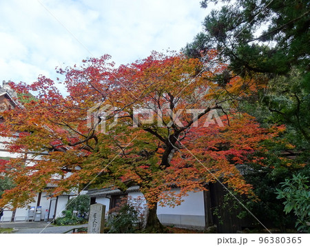 京都の紅葉をめぐる 南禅寺編 京都の紅葉をめぐる 南禅寺編 96380365
