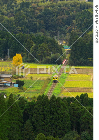 俯瞰の紅葉の銀杏と祠とローカル列車　いすみ鉄道 96380406