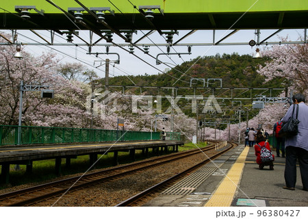 山中渓駅・桜 山中渓駅・桜 96380427