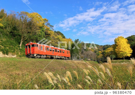 紅葉の夫婦銀杏とレトロ列車　小湊鉄道　上総大久保駅 96380470
