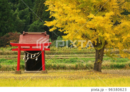 紅葉の銀杏と祠　いすみ鉄道 96380623