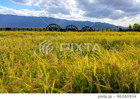 三連水車 96380934