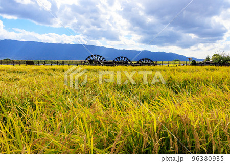 三連水車 96380935