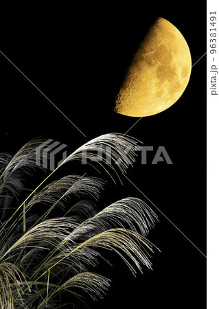 秋のイメージ。ススキと上弦の月。 96381491