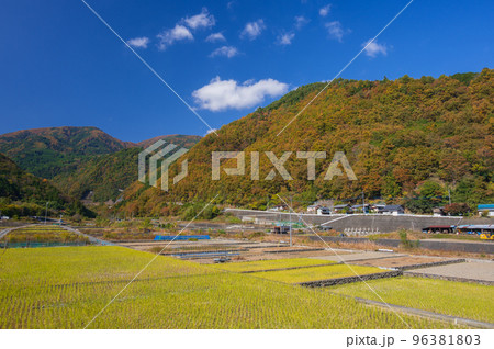 富士川町の原風景　秋の里山　長閑な景色 96381803