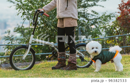 愛犬と秋冬のキャンプ場で自転車に乗ってサイクリングするアジア人女性 96382533