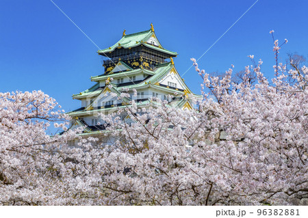 大阪城 桜 春 大阪城 桜 春 96382881