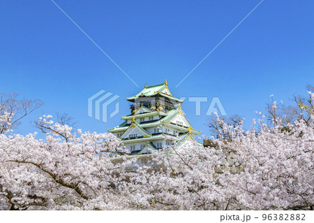 大阪城 桜 春 大阪城 桜 春 96382882