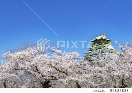 大阪城　桜　春 96382883