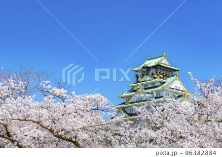 大阪城　桜　春 96382884