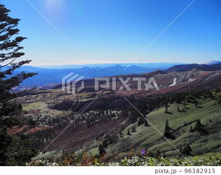 志賀草津道路 96382915