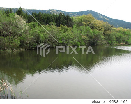 池の風景 池の風景 96384162