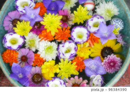 行田市内の花手水 96384390