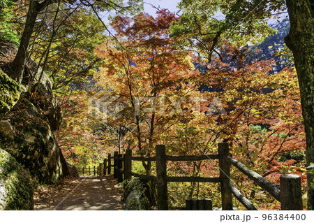 山梨県　昇仙峡　遊歩道　紅葉の風景　日本遺産 96384400
