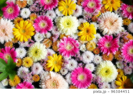 行田市内の花手水 96384451