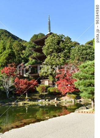 瑠璃光寺五重塔と紅葉 瑠璃光寺五重塔と紅葉 96384980