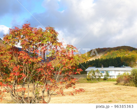 蔵王ライザワールド　坊平高原　蔵王　紅葉　黄葉 96385363