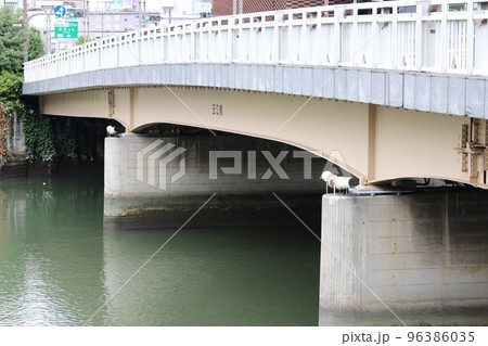 大阪府大阪市の堂島川に架かる「玉江橋 」 96386035