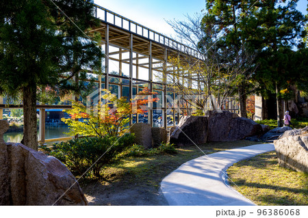 けいはんな記念公園「水景園」　観月橋の足元に伸びる遊歩道と常緑樹＆紅葉 96386068