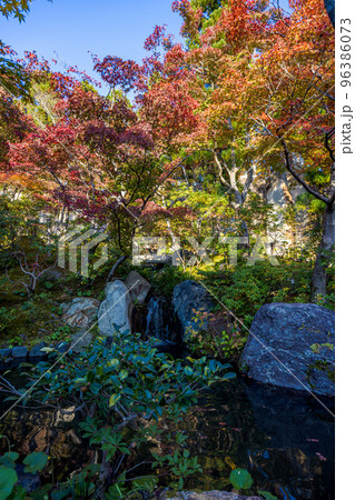 けいはんな記念公園「水景園」　紅葉谷から流れ下る水と彩りを添える紅葉 96386073