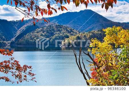 紅葉ー奥越・九頭竜 96386100