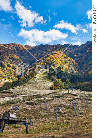 紅葉ー奥越・九頭竜 96386177
