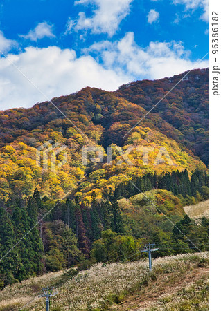 紅葉ー奥越・九頭竜 96386182