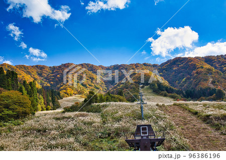 紅葉ー奥越・九頭竜 96386196